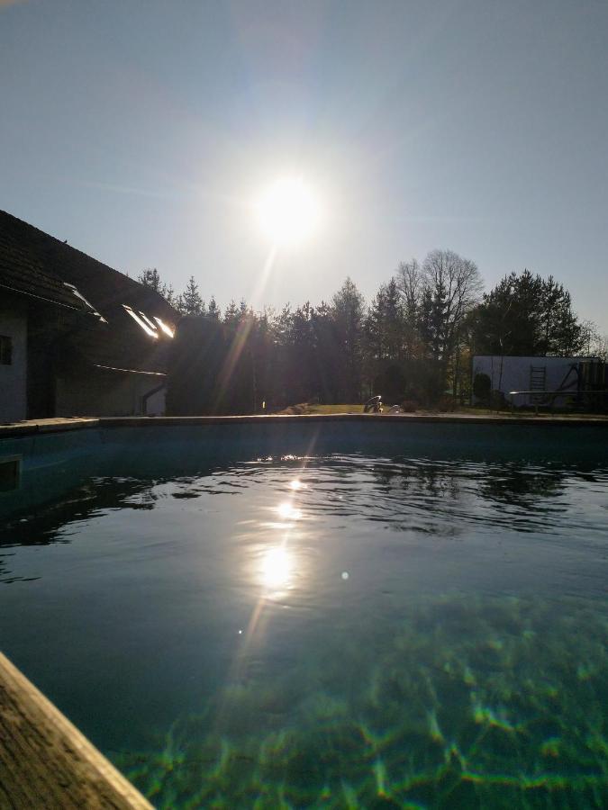 Camping & Guest House Pliskovice Mirovice Eksteriør bilde