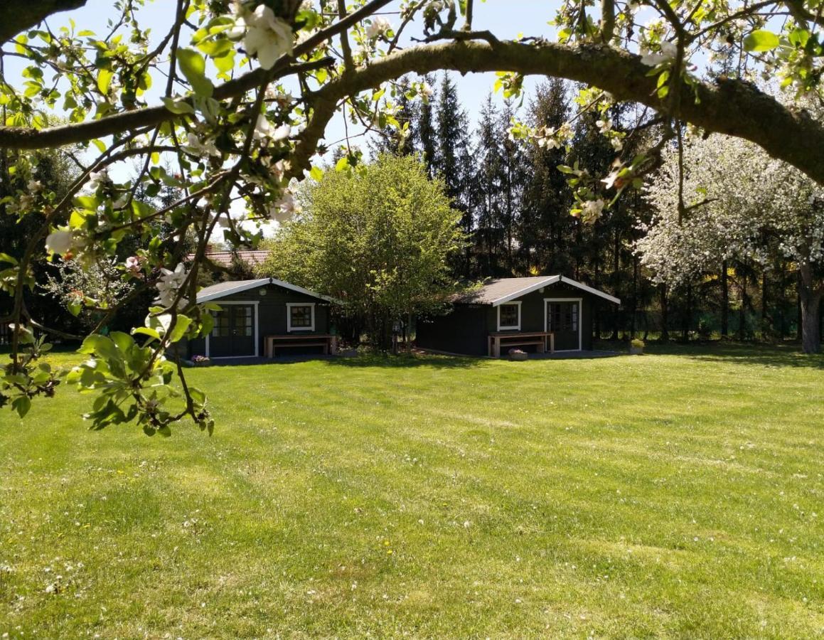 Camping & Guest House Pliskovice Mirovice Eksteriør bilde