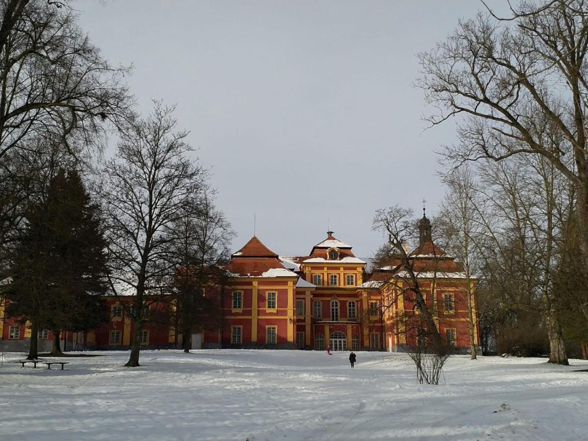 Camping & Guest House Pliskovice Mirovice Eksteriør bilde