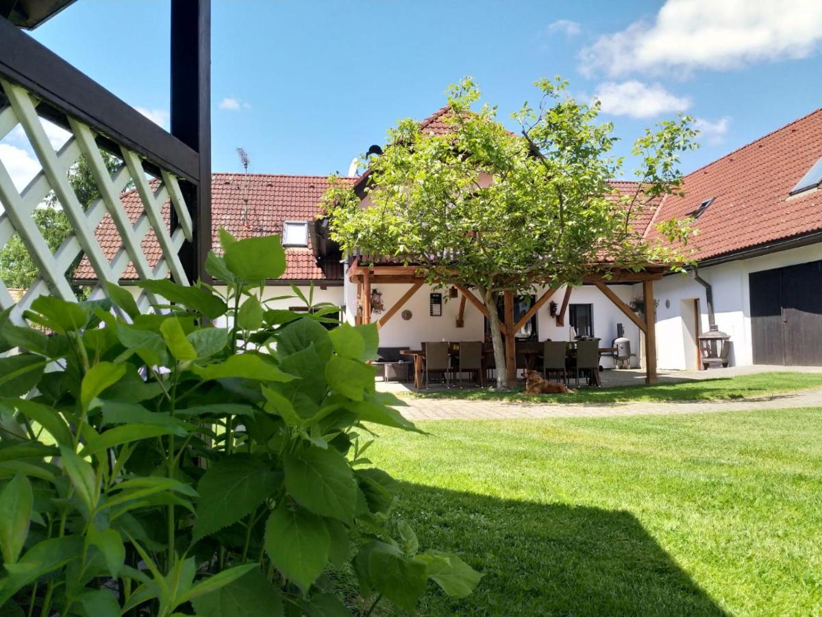 Camping & Guest House Pliskovice Mirovice Eksteriør bilde